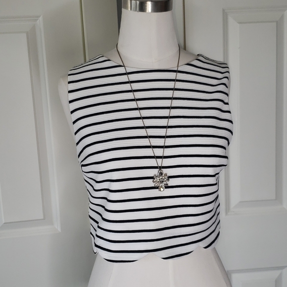 Cropped Scallop Hem Top - Picture 3 of 10